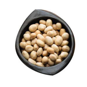 MANÍ CROCANTE TIPO JAPONÉS 10 KG