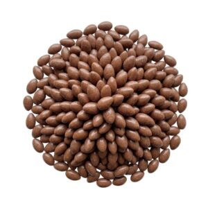 GIRASOL RECUBIERTO DE CHOCOLATE OSCURO 10 KG