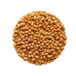 GIRASOL CROCANTE TIPO JAPONES 10 KG