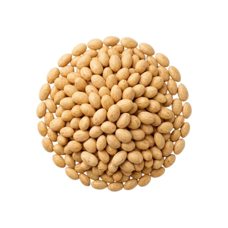 MANÍ CROCANTE TIPO JAPONÉS 10 KG