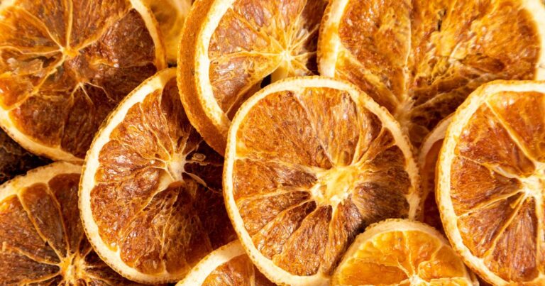 Naranja deshidratada para cócteles