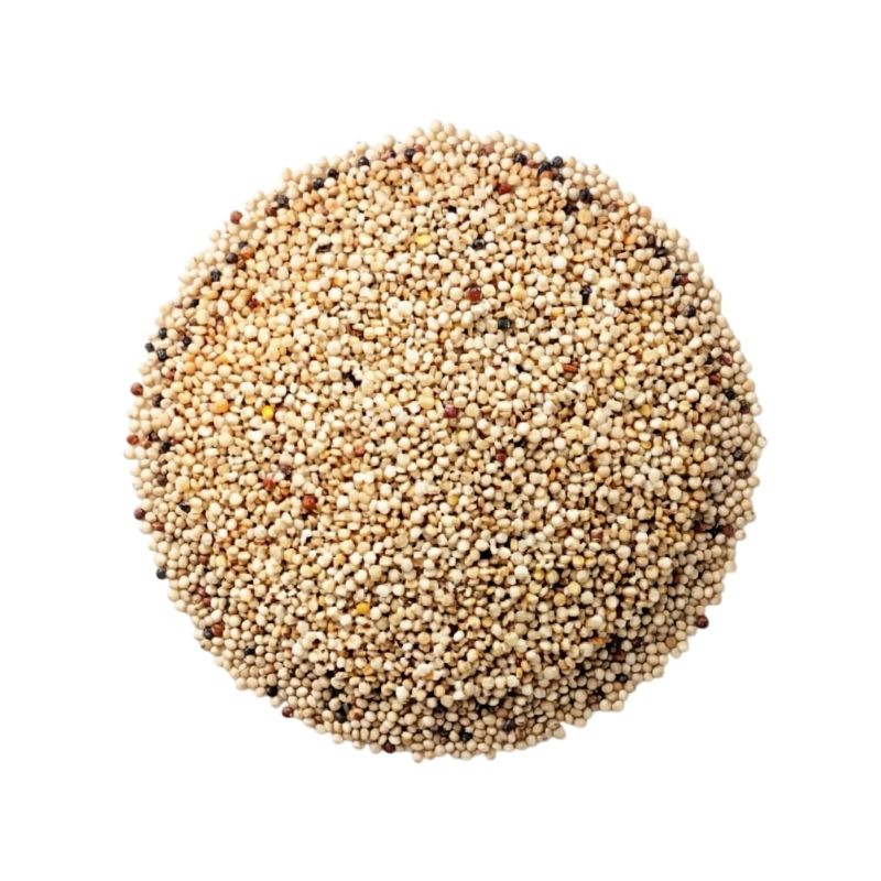 SEMILLA DE QUINOA BLANCA DESAPONIFICADA 25 KG