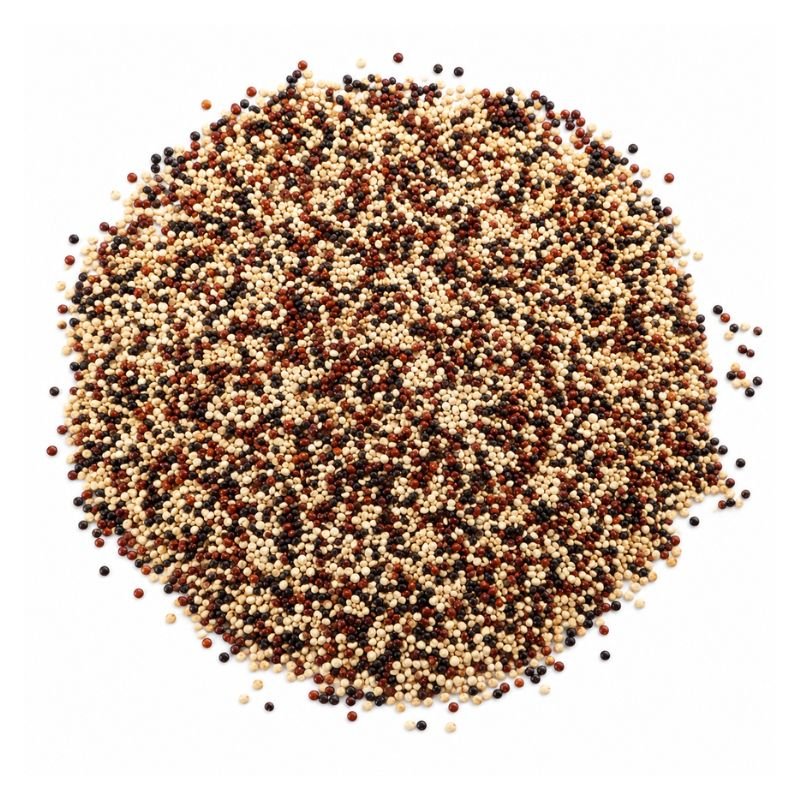 SEMILLA DE QUINOA TRICOLOR